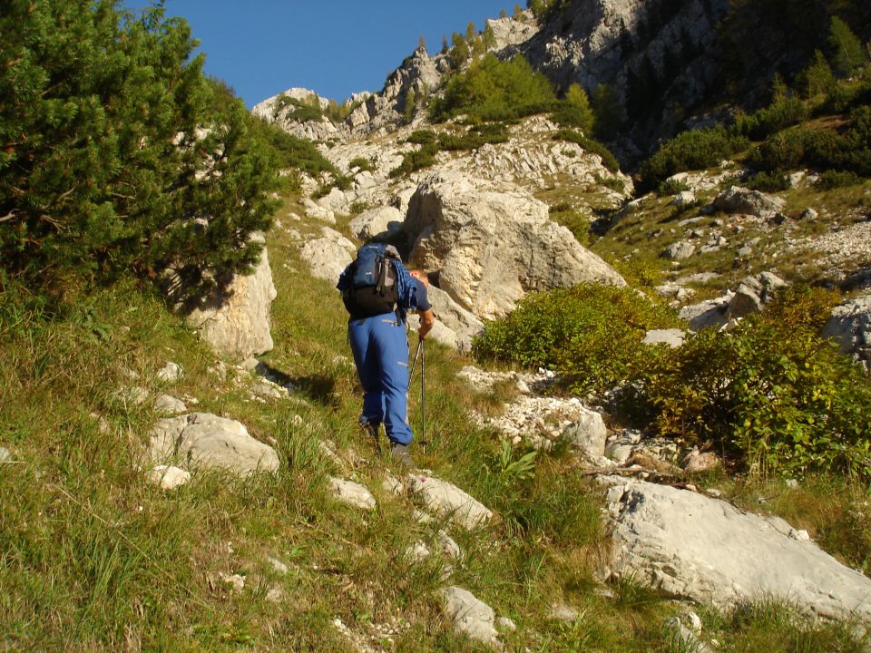 BREZPOTJA  - Martulj. in Kanin. gore 2006 - foto povečava