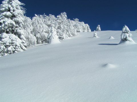 Zimsko prečenje ratitovca 1/2007 - foto povečava