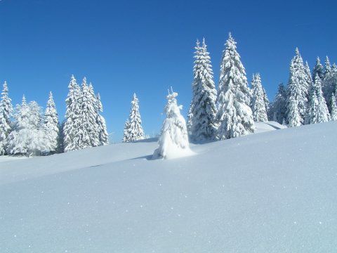 Zimsko prečenje ratitovca 1/2007 - foto povečava