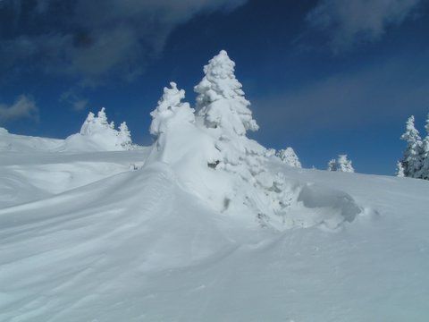 Zimsko prečenje ratitovca 1/2007 - foto