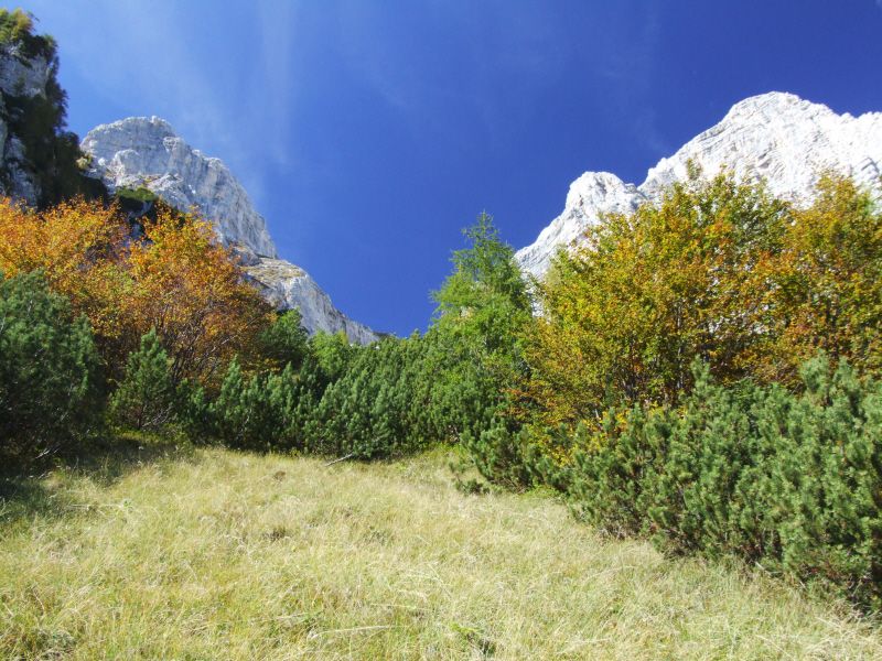 Kukova špica 2427m 10/2006 - foto povečava