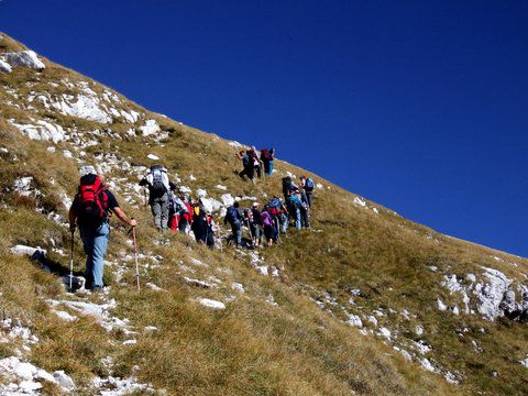 Plaski vogel 10/2006 - foto