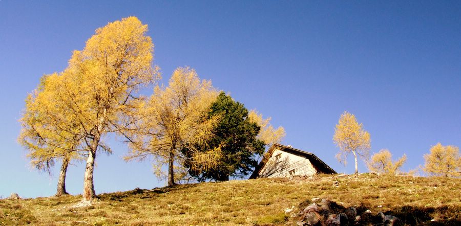 škednjovec 10/2006 - foto povečava