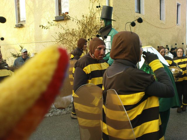 Fašenk na Vidmu pri Ptuju 2010 - foto