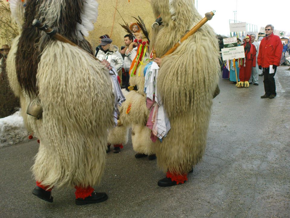 Fašenk na Vidmu pri Ptuju 2010 - foto povečava