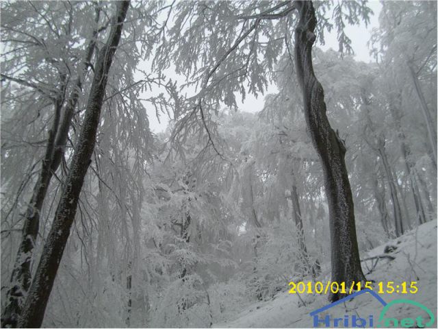 Donačka gora 2009-2010 - foto