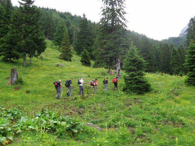 Veliki vrh (karavanke) 6/2009 - foto