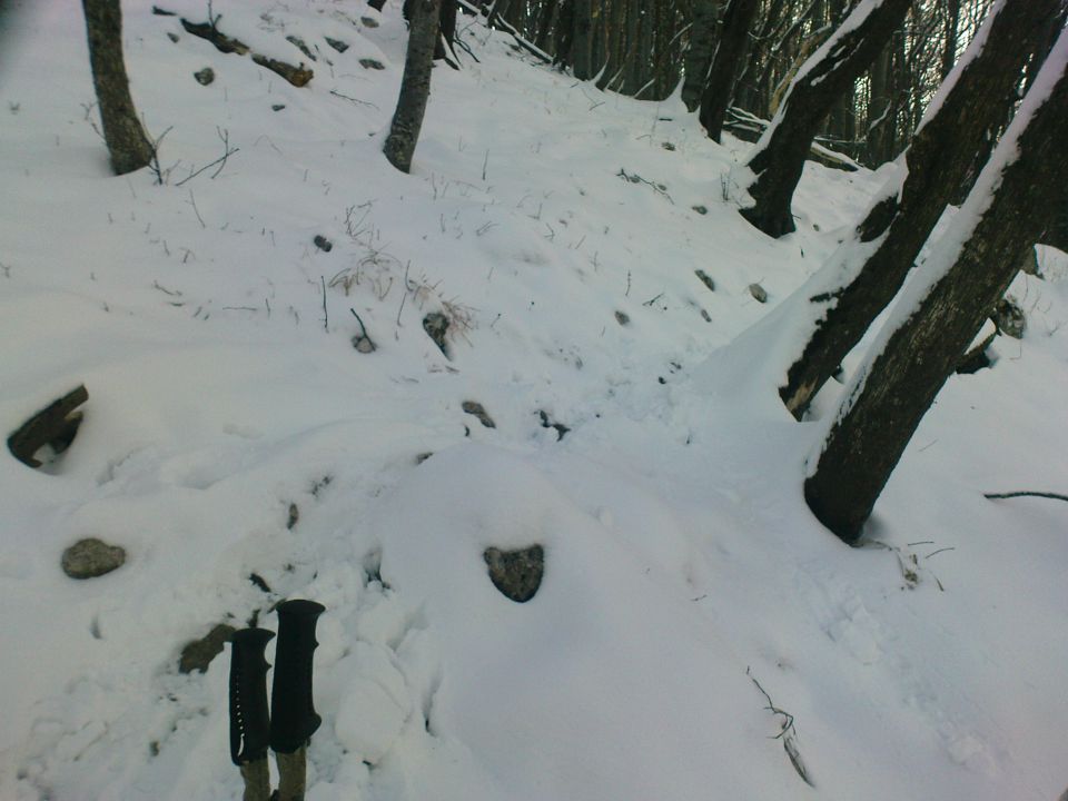 Prečenje Boč - Donačka gora 3/2010 - foto povečava