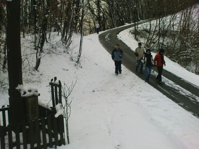 Prečenje Boč - Donačka gora 3/2010 - foto