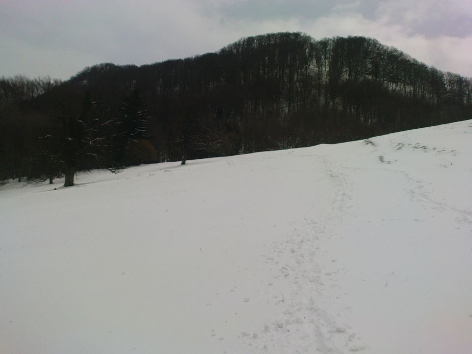 Prečenje Boč - Donačka gora 3/2010 - foto povečava