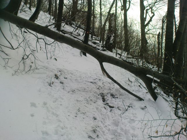 Prečenje Boč - Donačka gora 3/2010 - foto