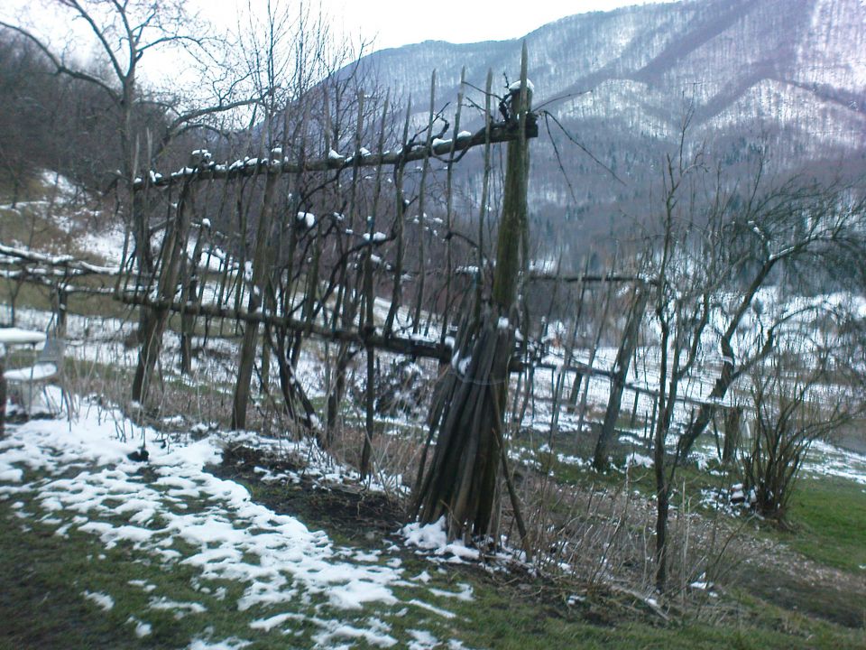 Prečenje Boč - Donačka gora 3/2010 - foto povečava