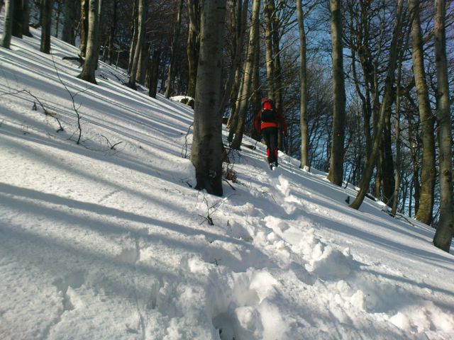 Donačka gora 3/2010 - foto