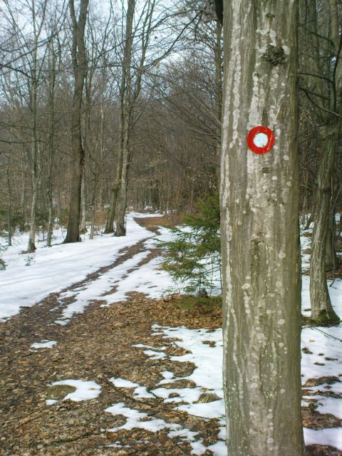 Hpp  Podlehnik - Naraplje 3/2010 - foto