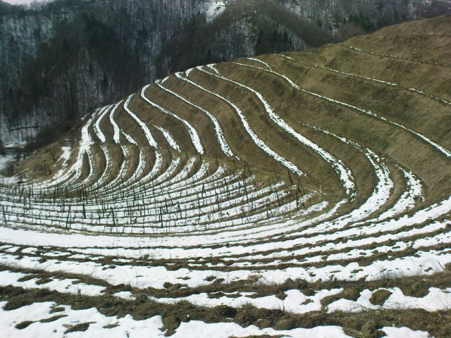 Hpp  Podlehnik - Naraplje 3/2010 - foto