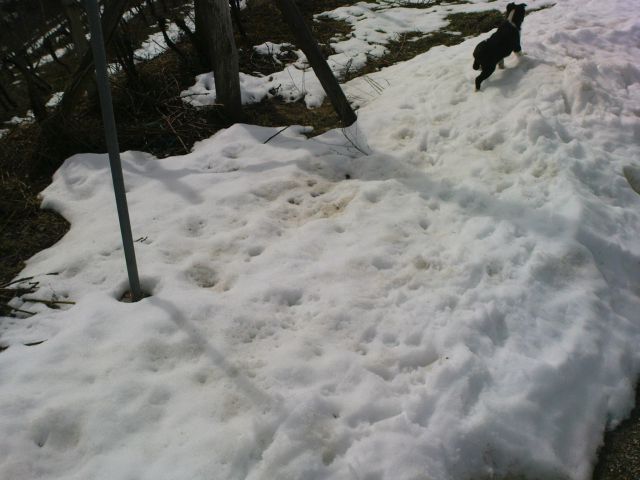 Hpp  Podlehnik - Naraplje 3/2010 - foto