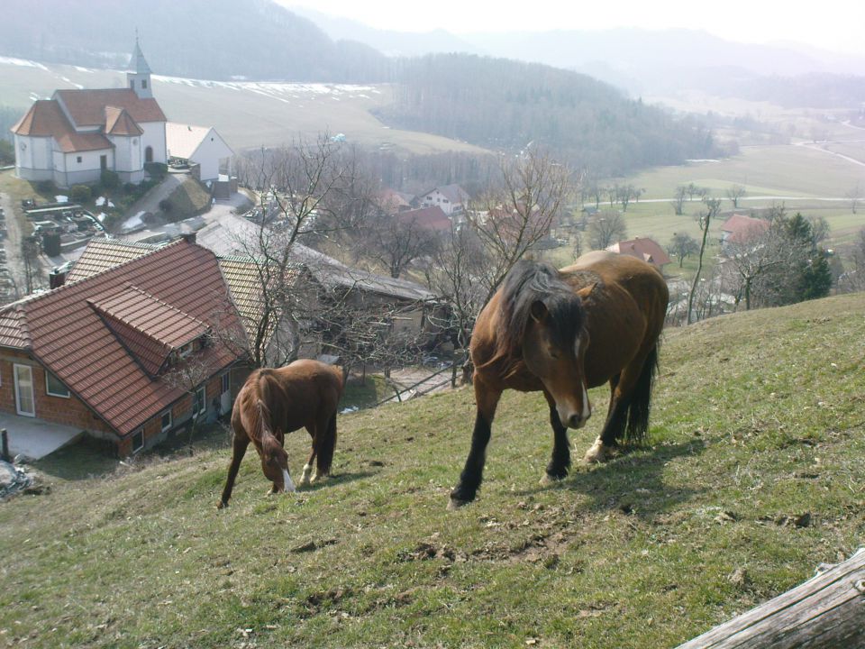 Sv.Donat 3/2010 - foto povečava