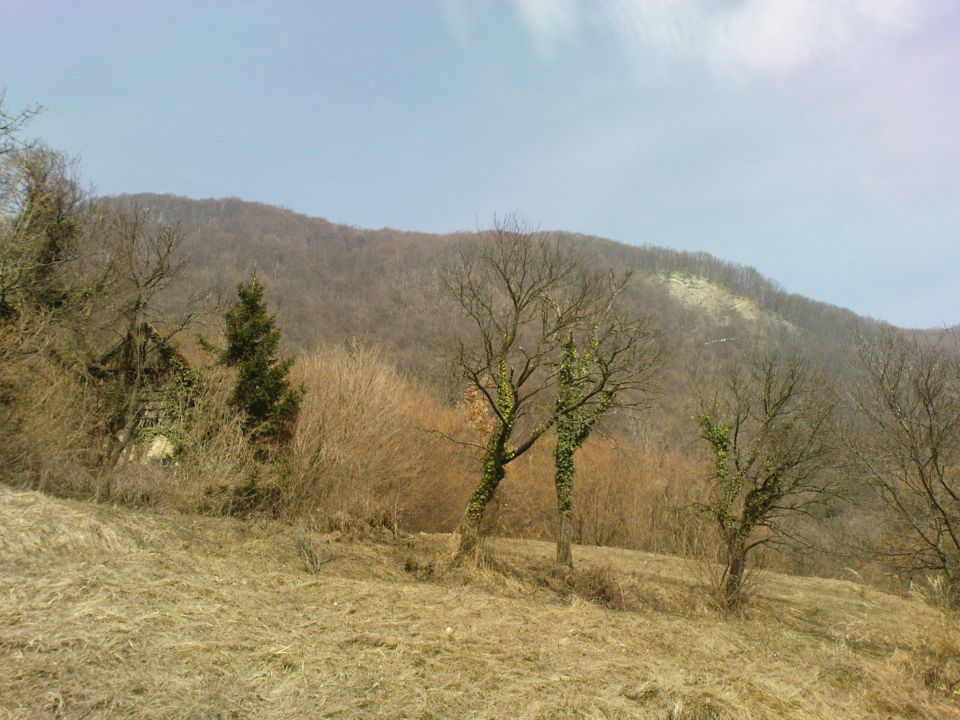 Sv.Donat 3/2010 - foto povečava