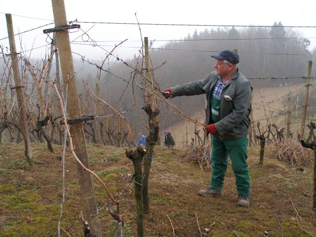 Stanko pri rezanju