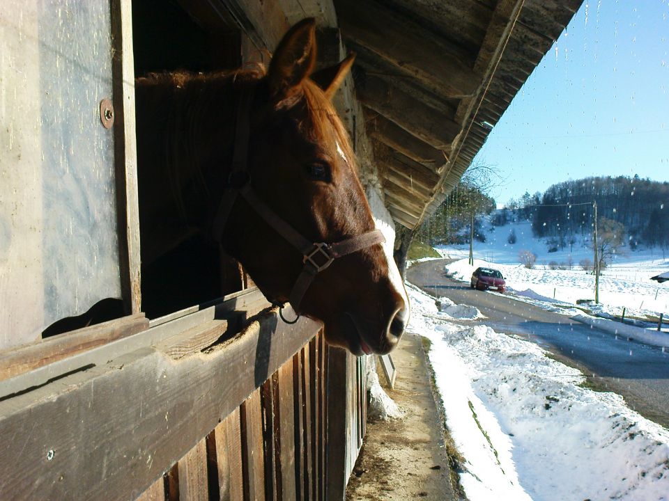 Hudekovi 3/2010//08.2011/2012 - foto povečava