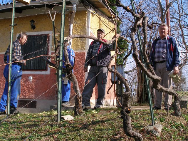 Delovne akcije na Bračičevi poti 3/2010 - foto