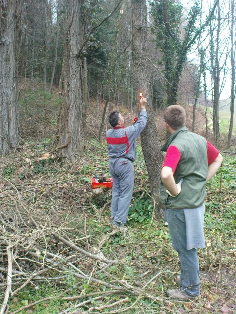 Delovne akcije na Bračičevi poti 3/2010 - foto