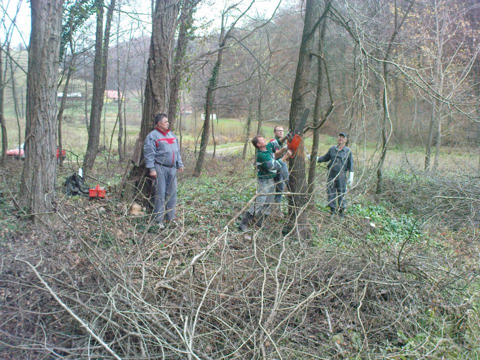 Delovne akcije na Bračičevi poti 3/2010 - foto povečava