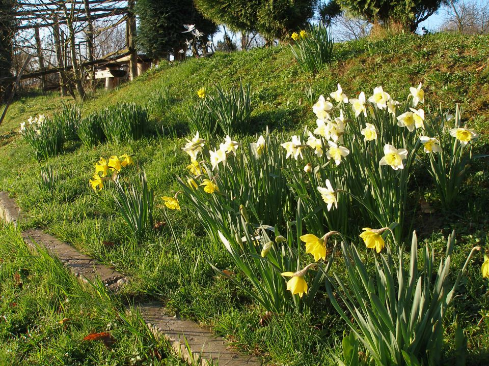 Gradišča-Ptujska gora 4/2010 - foto povečava