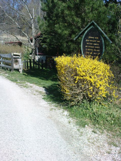 Gradišča-Ptujska gora 4/2010 - foto