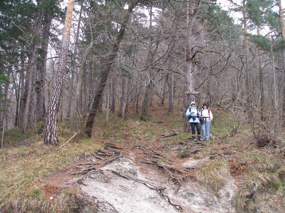 Boč 4/2010 - foto povečava