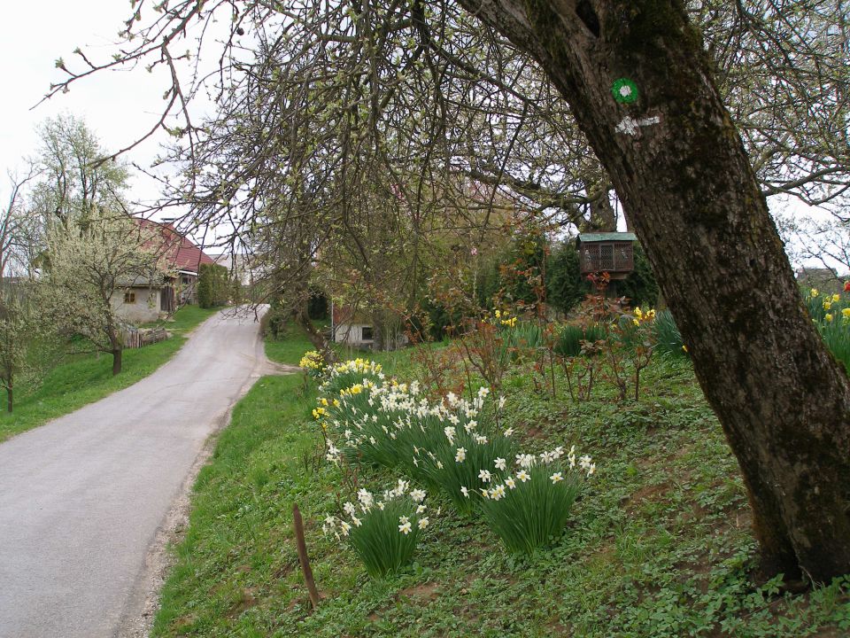 Mustrova pot 4/2010 - foto povečava