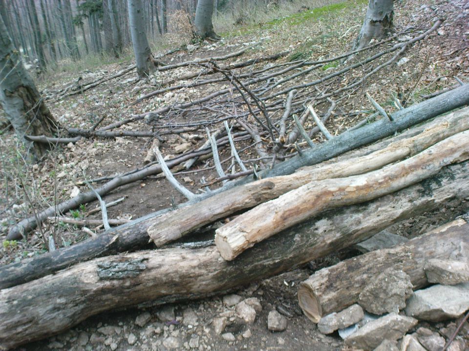 Boč,april 2010 - foto povečava