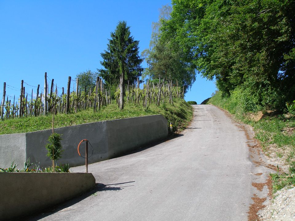 Gradišča-sv.Florjan 5/2010 - foto povečava