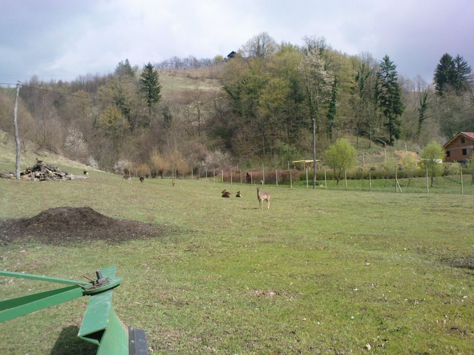 Bračičeva pot 27.2./11.4./8.5./22.5./31.7.10. - foto povečava