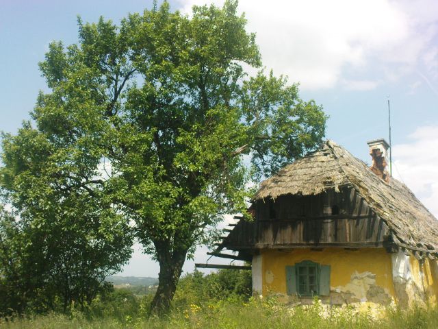 Haloška idila