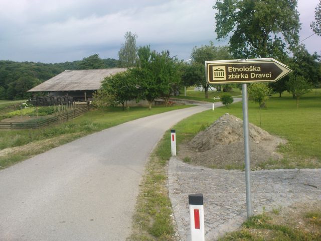 Dravci