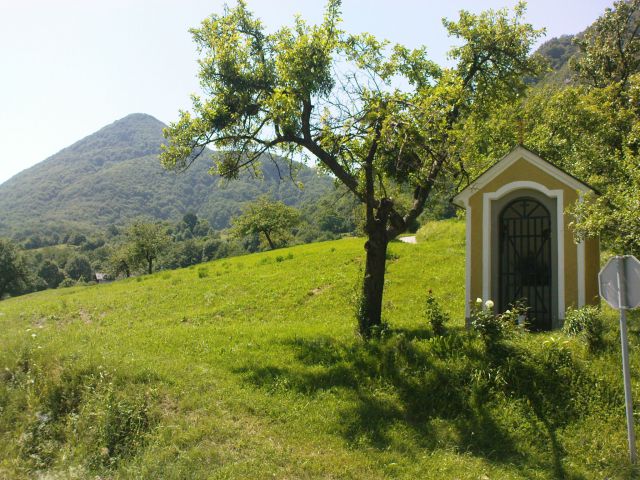 DONAČKA GORA - RIGI 6/2010 - foto