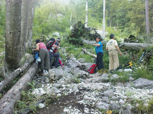 Kokrska in Jezerska Kočna 7/2009 - foto