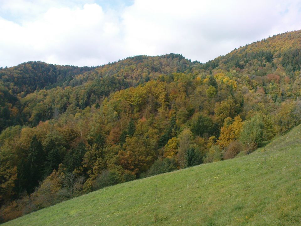 Žavcarjev vrh 10.2010 - foto povečava