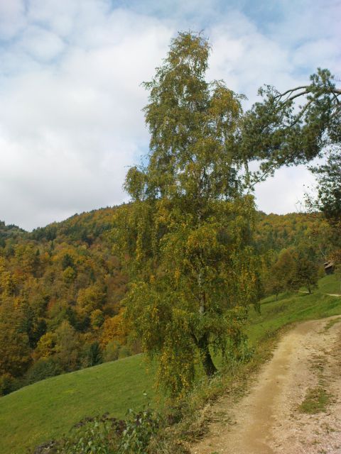 Žavcarjev vrh 10.2010 - foto