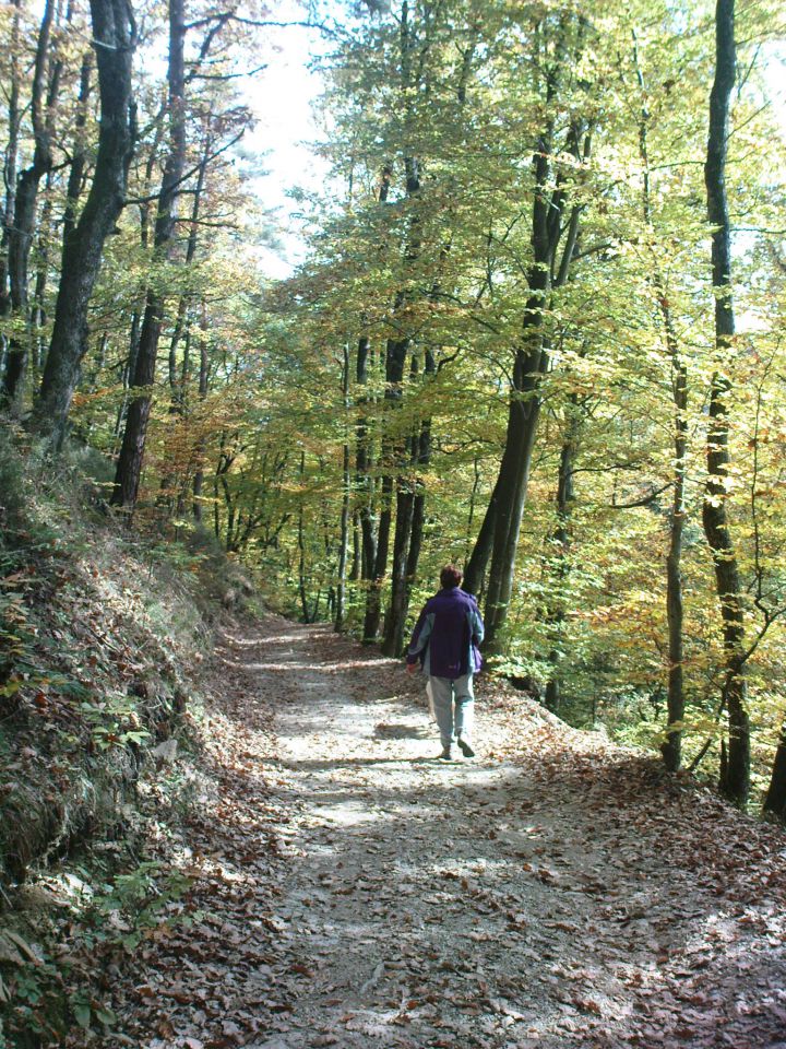 Žavcarjev vrh 10.2010 - foto povečava