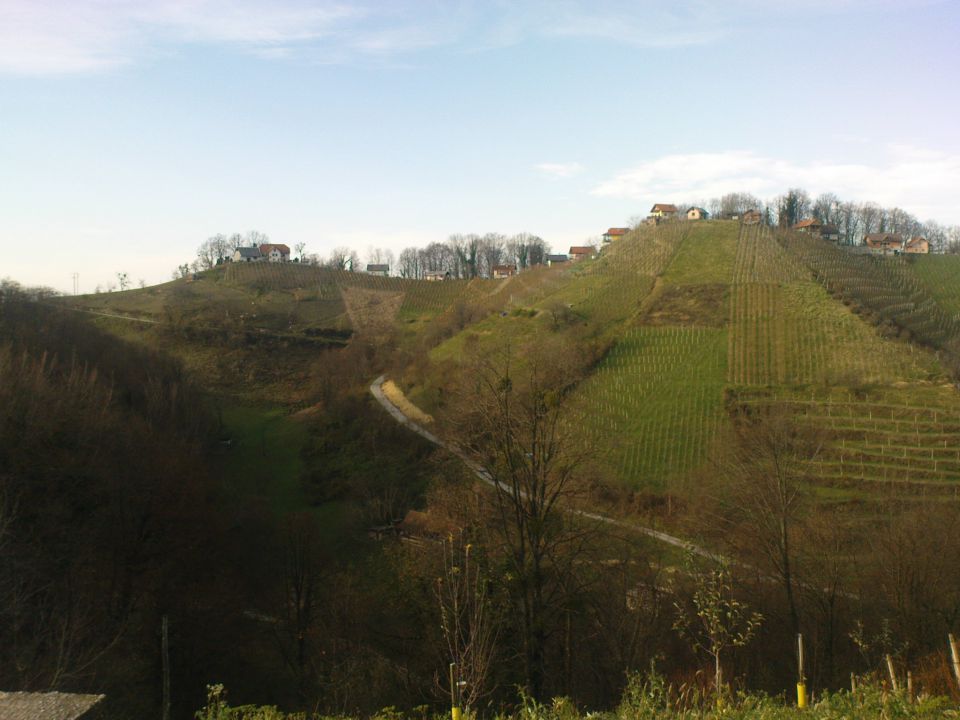 tukaj zorijo najboljše sorte vina