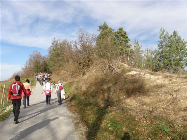 Martinov pohod 11.2010 - foto povečava