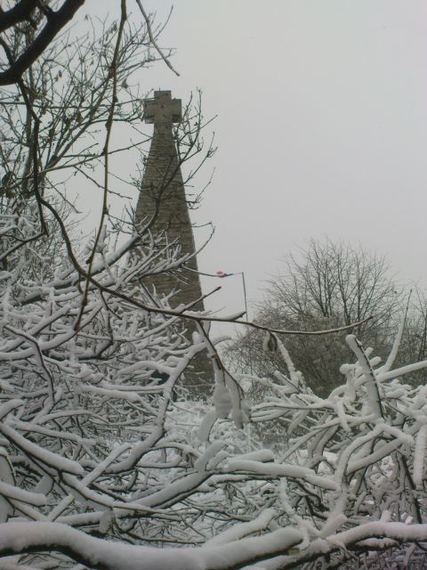 Donačka 28.11./2010 - foto