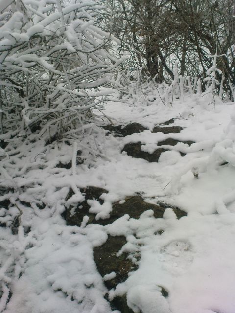 Donačka 28.11./2010 - foto