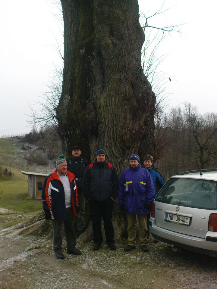 vseh pet,ki stojijo pred lipo,nima tolko let.....