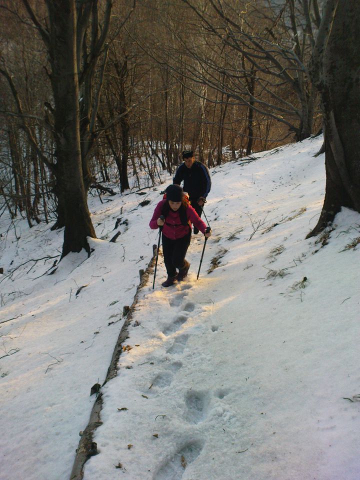 Donačka gora 2.1./8.1./5.2./13.2./28.02.2011 - foto povečava