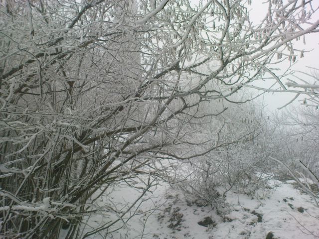 Na vrhu zimska pravljica