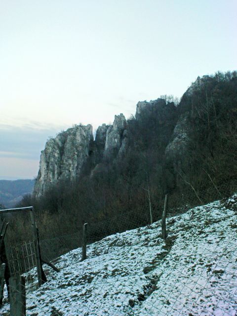Ravna gora 22.01.2011 - foto