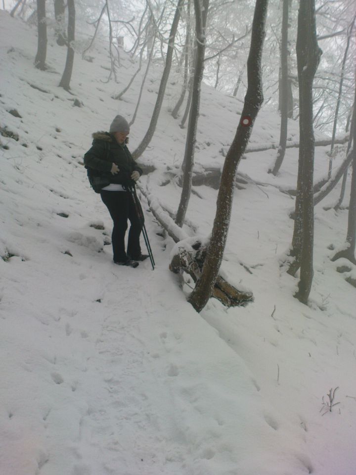 Boč 29.01./12.02.2011. - foto povečava